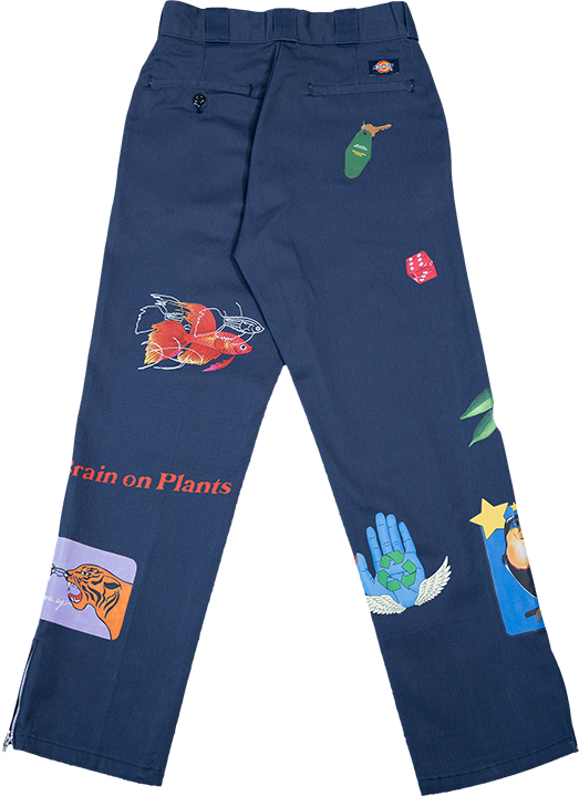 ¼ Zip Rework Pants #41 (28/31)