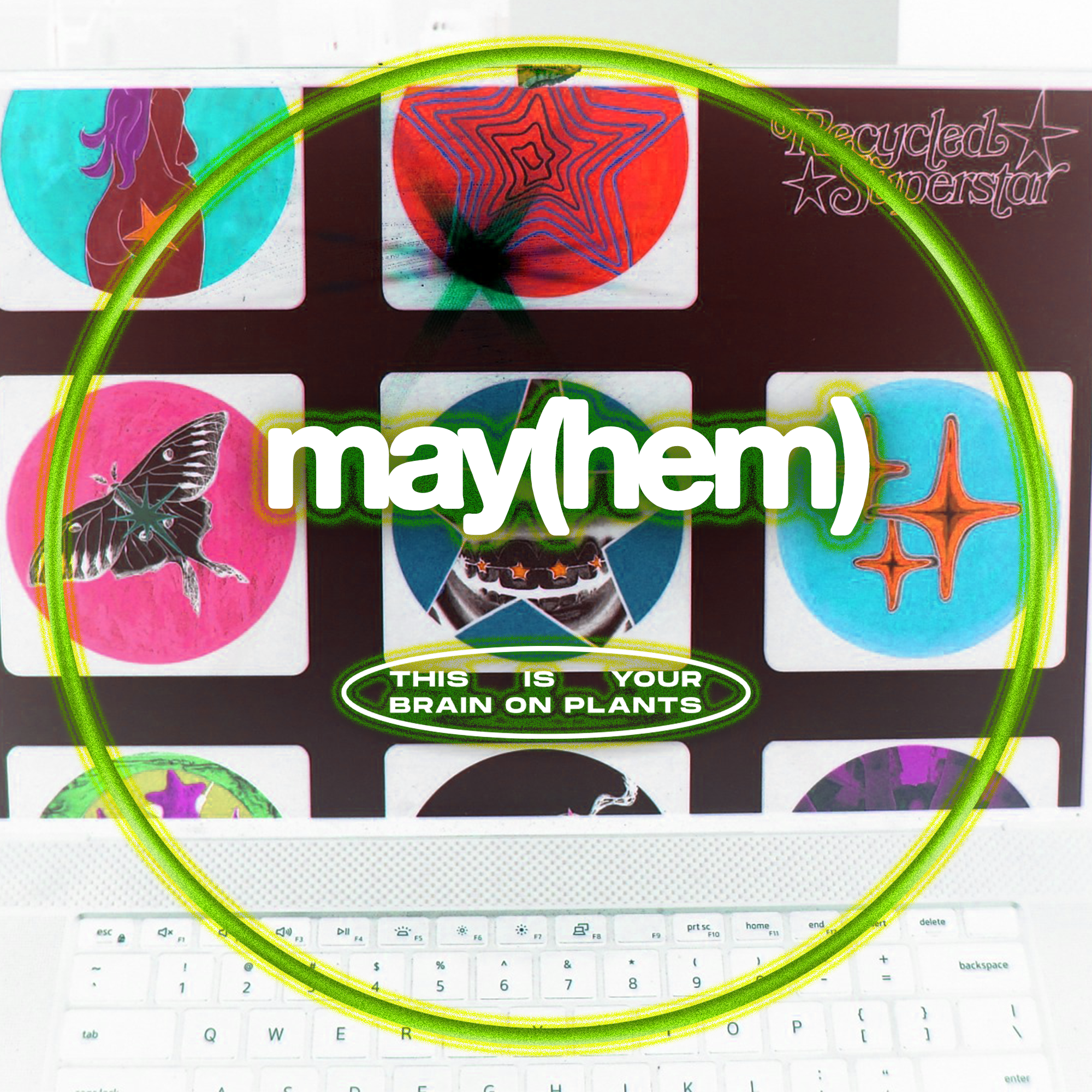MAY(hem) – BRAIN ON PLANTS