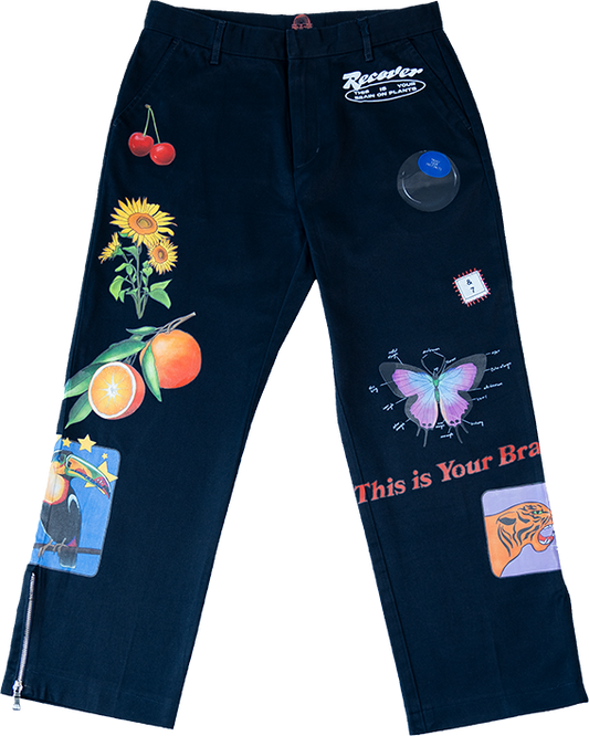 ¼ Zip Rework Pants #4 (28/27)